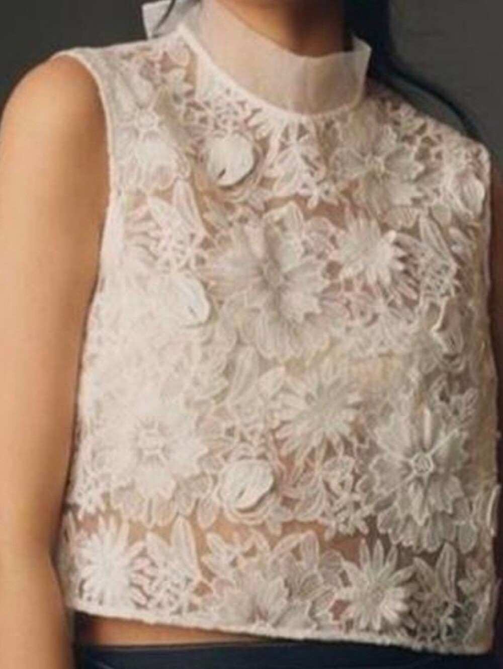 Maeve-Anthropologie White Sheer Floral Lace Cropped Top, Sleeveless,High Neck XS